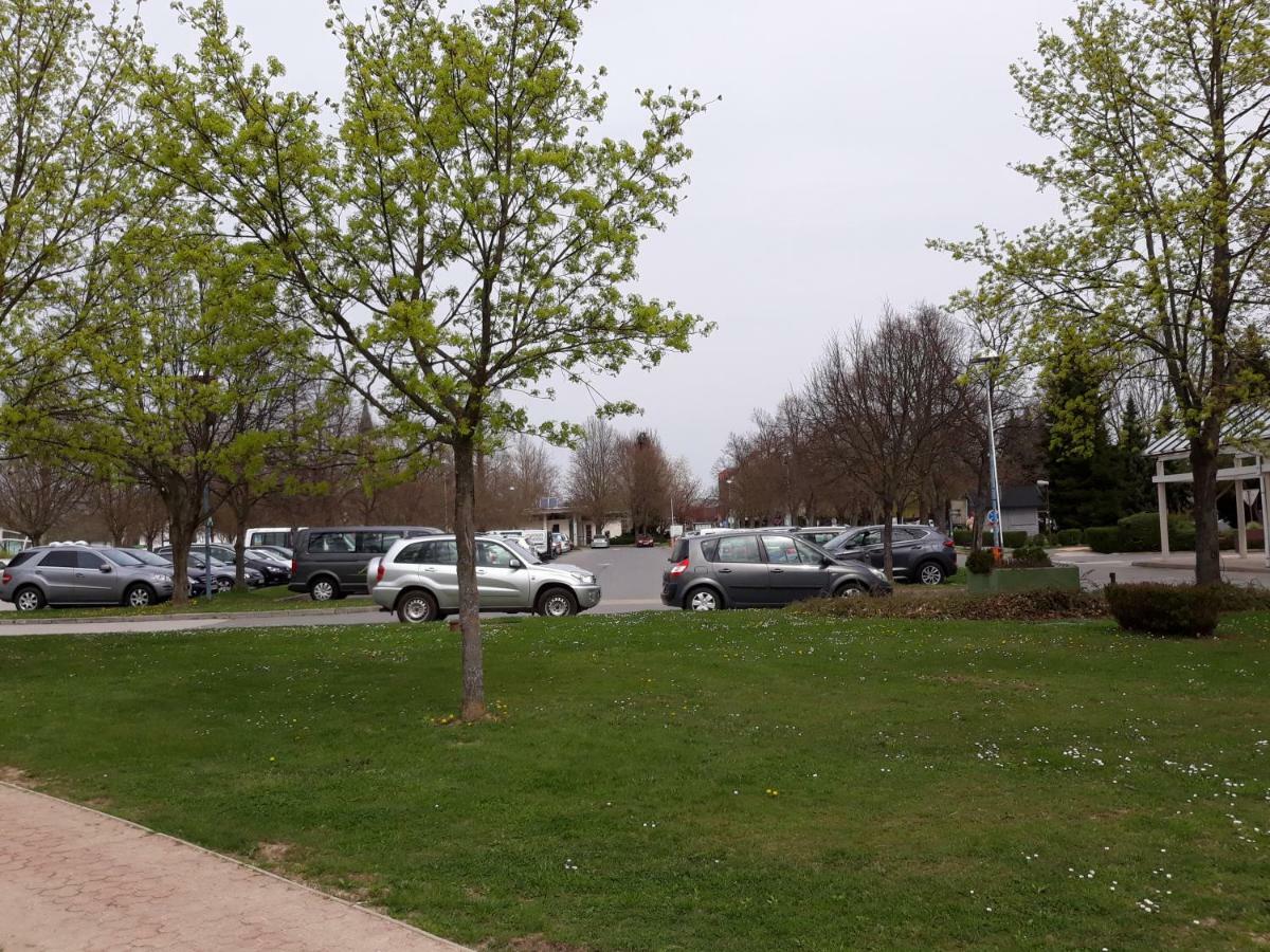 Apartma C-06, C-11 Moravske-Toplice Εξωτερικό φωτογραφία